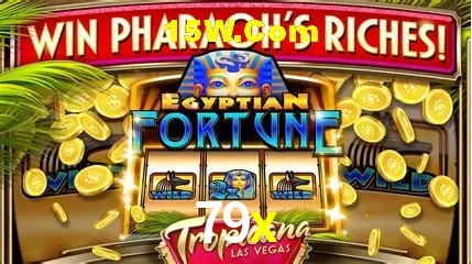 Estatísticas do Jogo 79x